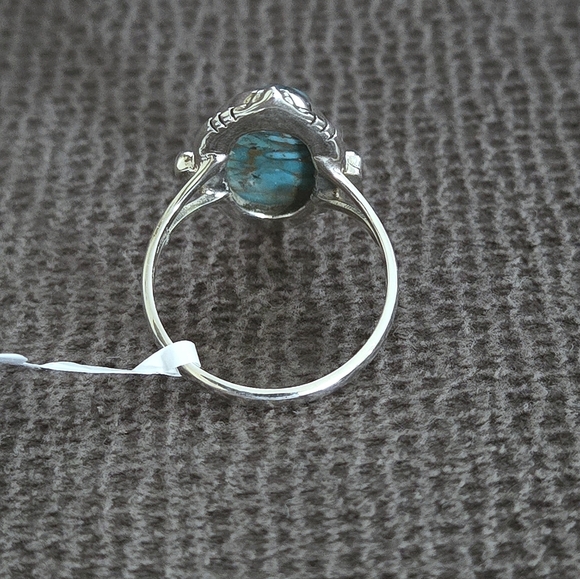 Shivam Oval Shaped Blue💙 Copper Turquoise Statement Ring💍 - NWT - Picture 11 of 16